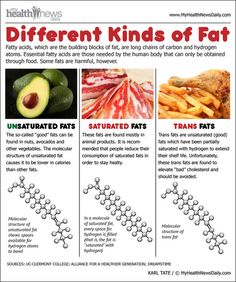 the different kinds of fats are shown in this poster