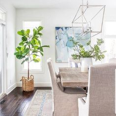 a dining room table with chairs and a potted plant in the middle of it