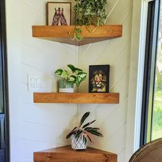 three wooden shelves with plants and pictures on them