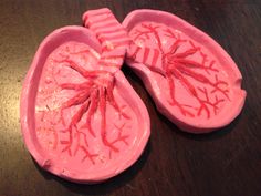 a pink plastic model of the lungs on a wooden table with blood splatters all over it