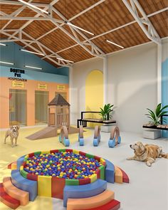 a dog laying on the floor next to a ball pit in a room filled with children's toys