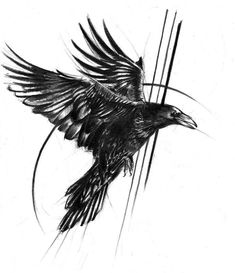 a black and white drawing of a bird flying