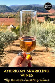 someone is holding up a wine glass with an orange in it and the words, american sparkling wines my favorite sparkling wines