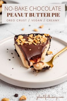 no - bake chocolate peanut butter pie on a white plate