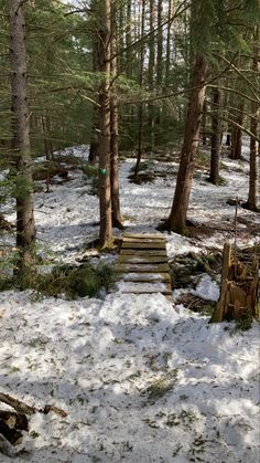 a snow covered path in the woods with trees