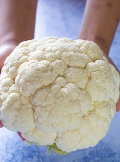 a close up of a person holding a cauliflower