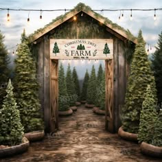 the entrance to christmas tree farm