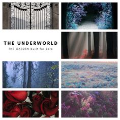 the cover of the book, the underworld with images of flowers and trees in different colors