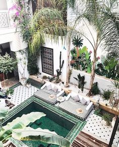 an outdoor pool surrounded by potted plants and greenery in the middle of a courtyard