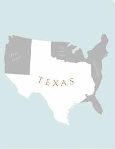 the state of texas in grey and white with an outline map on it's side