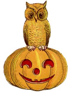 an owl sitting on top of a pumpkin