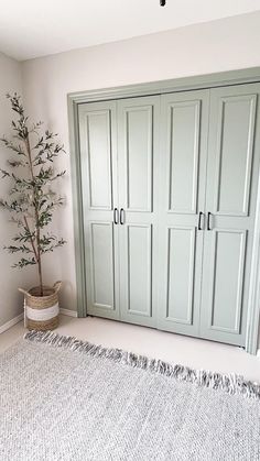 a bedroom with green closets and a rug on the floor