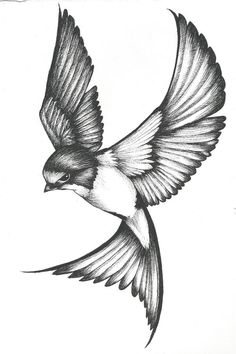 a black and white drawing of a bird flying