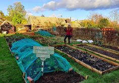 a woman standing in the middle of a garden filled with lots of dirt and plants