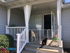 a cat sitting on the front steps of a house next to a child and dog