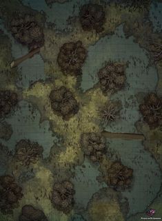 an aerial view of rocks and plants on the ocean floor, with blue water in the background