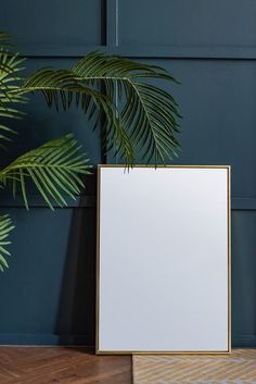 there is a plant next to a white board on the floor in front of a blue wall