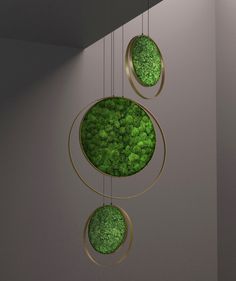 three circular green objects hanging from a ceiling