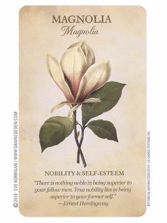 a card with a white flower on it that says, magnolia magazine nobilty & self - system