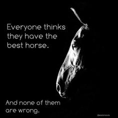 a black and white photo with a horse's head in the dark, text reads everyone thinks they have the best horse and none of them are wrong