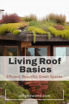 living roof basics for efficient, beautiful green spaces