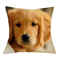 a close up of a dog laying down on a bed with his paw on the pillow