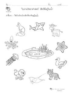 an image of animals that are in the water and on the ground, with words written below