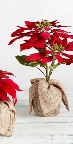 two burlap bags with flowers in them on a white wooden surface, one is empty and the other has red poinsettis