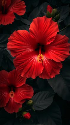 red flowers with green leaves in the background