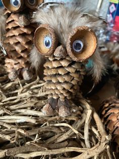 two little owls made out of pine cones sitting on top of each other with googly eyes