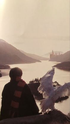 a man sitting on top of a hill next to a white bird flying over water