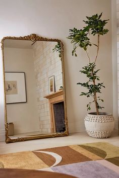 a large mirror sitting next to a potted plant on top of a rug in front of a fireplace