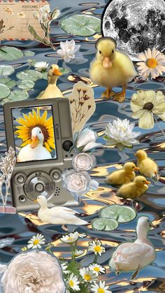 a digital camera sitting on top of a body of water surrounded by flowers and birds