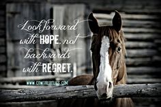 a brown horse standing next to a wooden fence with a quote on it's side