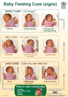 the baby feeding rules signs are in english and spanish, with instructions on how to use them