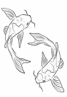 two koi fish are swimming in the pond coloring pages for kids, adult and children