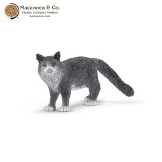 a gray cat standing on top of a white surface