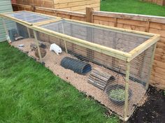 a rabbit in a cage on the grass next to a fence and some other animals