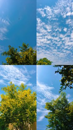 four different shots of trees and clouds in the sky