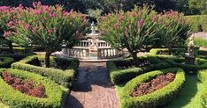 an ornamental garden with pink flowers in the center and fountain surrounded by green hedges on either side