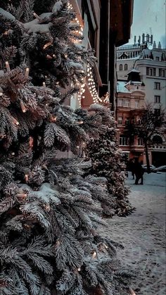 a christmas tree in front of a building with snow on the ground and lights hanging from it