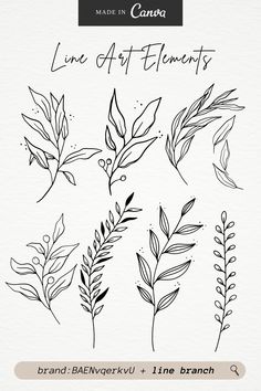 the line art elements bundle includes leaves and branches