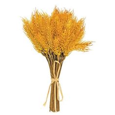 a bunch of dried yellow flowers tied to each other on a white background for decoration