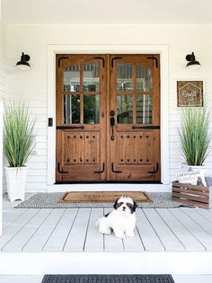 a black and white dog sitting in front of a wooden door with two planters