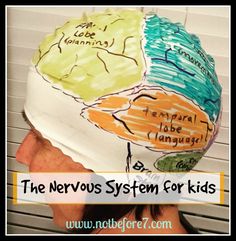 the nervous system for kids is written on top of a human's head,