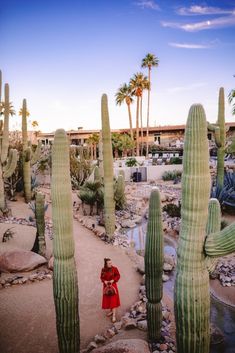 a woman in a red dress standing next to large cactus