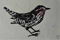 a black and white bird with red spots on it's face sitting on a piece of paper