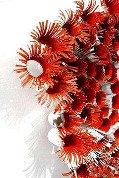 red flowers are arranged in the shape of an abstract object on a white background with shadows