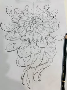 a drawing of a large flower on paper