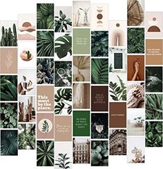 a collage of green and brown images with the words, this is nature place